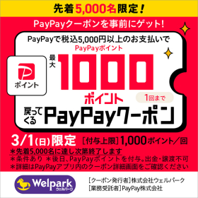 PayPay1,000ポイント戻ってくるクーポン