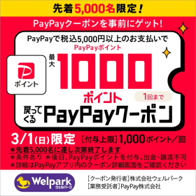  PayPay1,000ポイント戻ってくる。