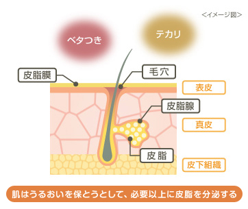 肌はうるおいを保とうとして、必要以上に皮脂を分泌する