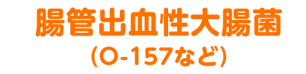 腸管出血性大腸菌（O-157など）