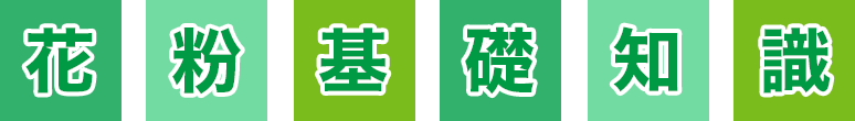 花粉基礎知識