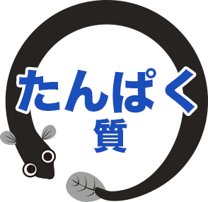 たんぱく質