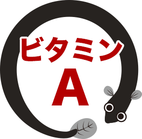 ビタミンA