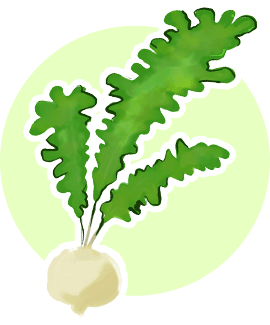 菘(すずな)
