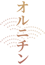 オルニチン