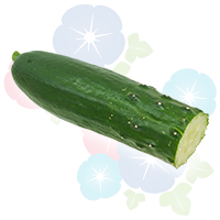 きゅうりの写真