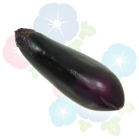 ナスの写真