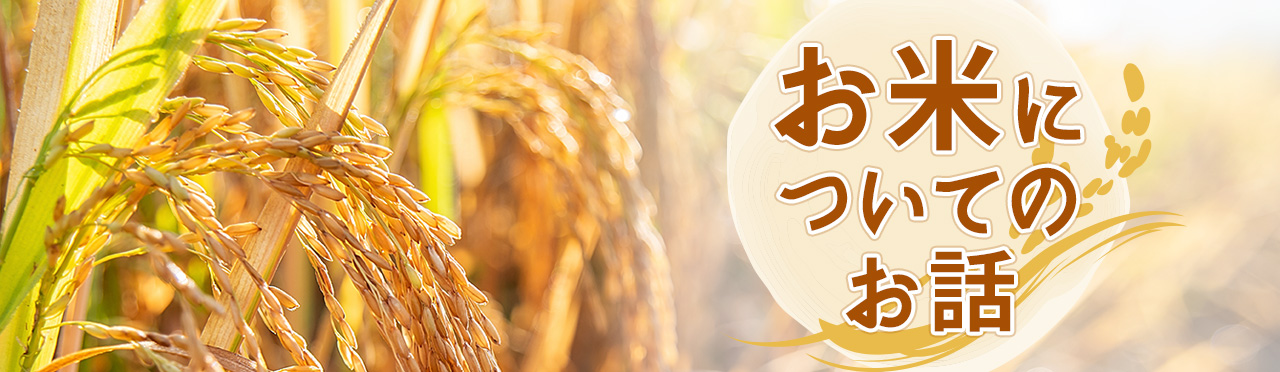 お米についてのお話