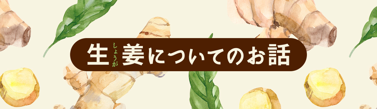 生姜についてのお話