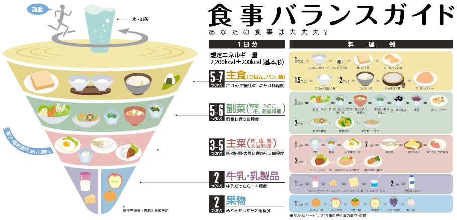 バランスガイドの画像(参考:厚労省)