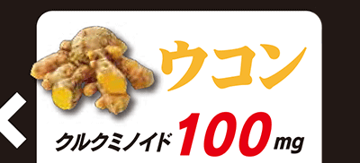 ウコン：クルクミノイド100mg