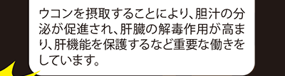 ウコンを摂取することにより、胆汁の分泌が促進され、肝臓の解毒作用が高まり、肝機能を保護するなど重要な働きをしています。