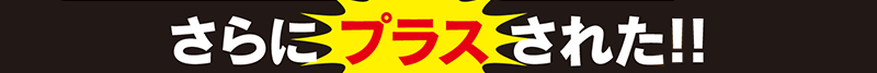 さらにプラスされた!!