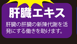 肝臓エキス：肝臓の肝臓の新陳代謝を活発にする働きを助けます。