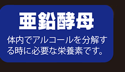 亜鉛酵母：体内でアルコールを分解する時に必要な栄養素です。